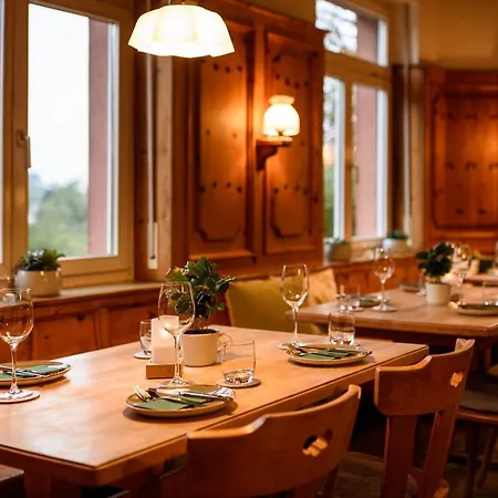 Hotel Grüner Baum Merzhausen